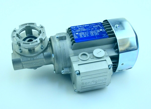 Gear motor